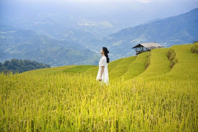vietnam 8047523 640